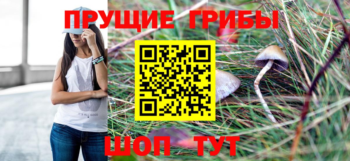 Верхняя Салда  Псилоцибиновые грибы Psilocybe  как найти наркотики  Вход с VPN 
